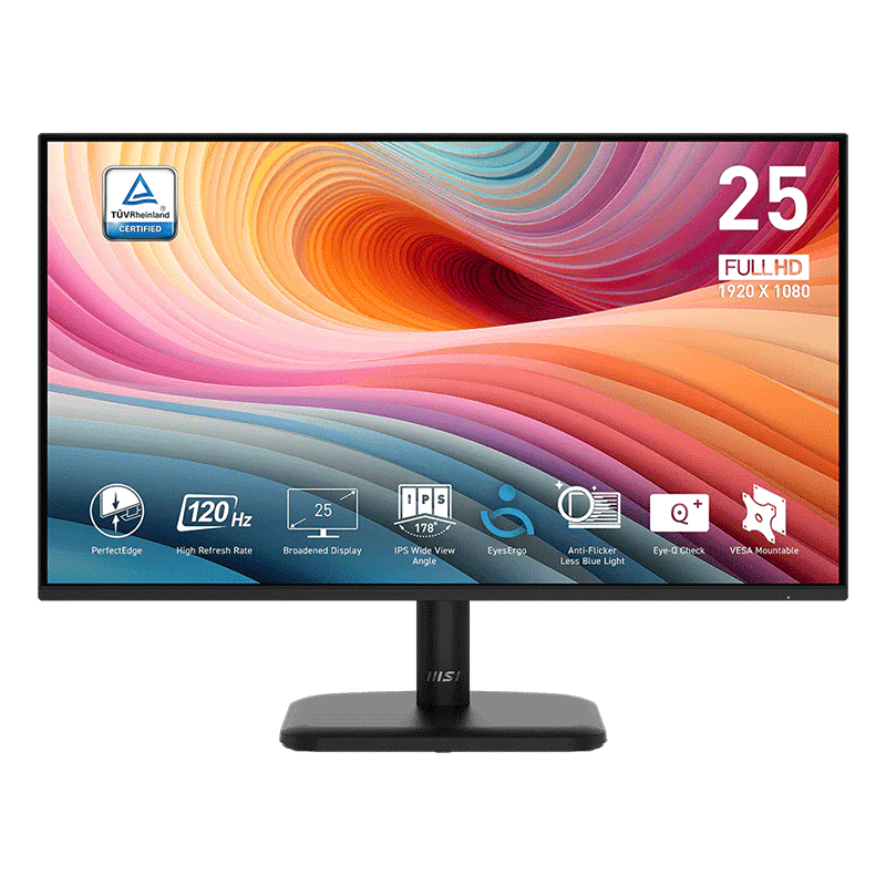 MSI PRO MP251L E2 24.5" IPS FHD 1ms 120Hz Monitor