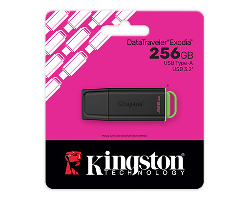 256GB USB3.2 Gen1 DataTraveler Exodia (Black + Pink)